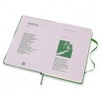 Блокнот Moleskine Bob Dylan середній зелений LEBDQP060A